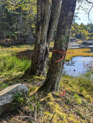 MAIN RD, WISCASSET, ME 04578 - Image 7bbb16bc299fea905a0468bca3146abe/2197425844