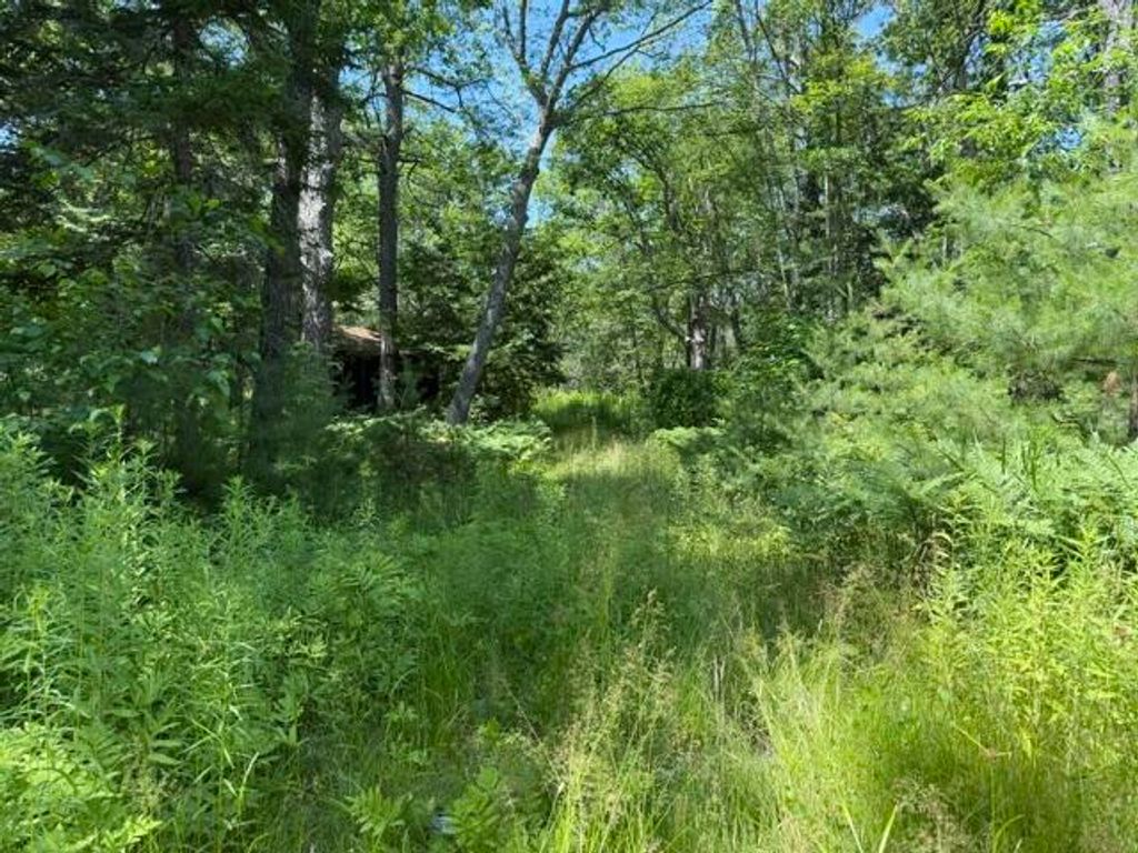 Photo of M R06 L52B Nequasset Road, Woolwich, ME 04579 (MLS # 1671528)