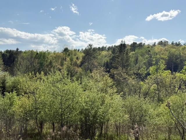 Photo of 0 Duck Cove (formerly Brookside) Road, Orland, ME 04472 (MLS # 1663131)