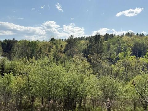 Photo of 0 Brookside Road, Orland, ME 04472 (MLS # 1663131)