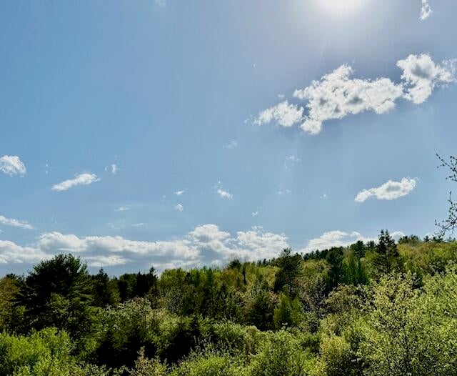 Photo of 0 Duck Cove (formerly Brookside) Road, Orland, ME 04472 (MLS # 1663131)