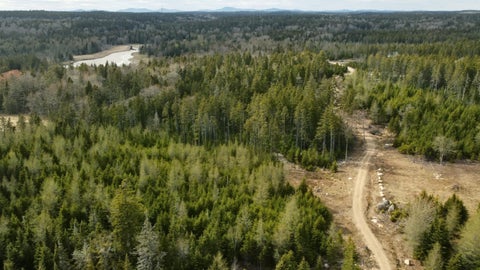 Photo of map6 lot37 Back Woods Road, Vinalhaven, ME 04863 (MLS # 1671895)