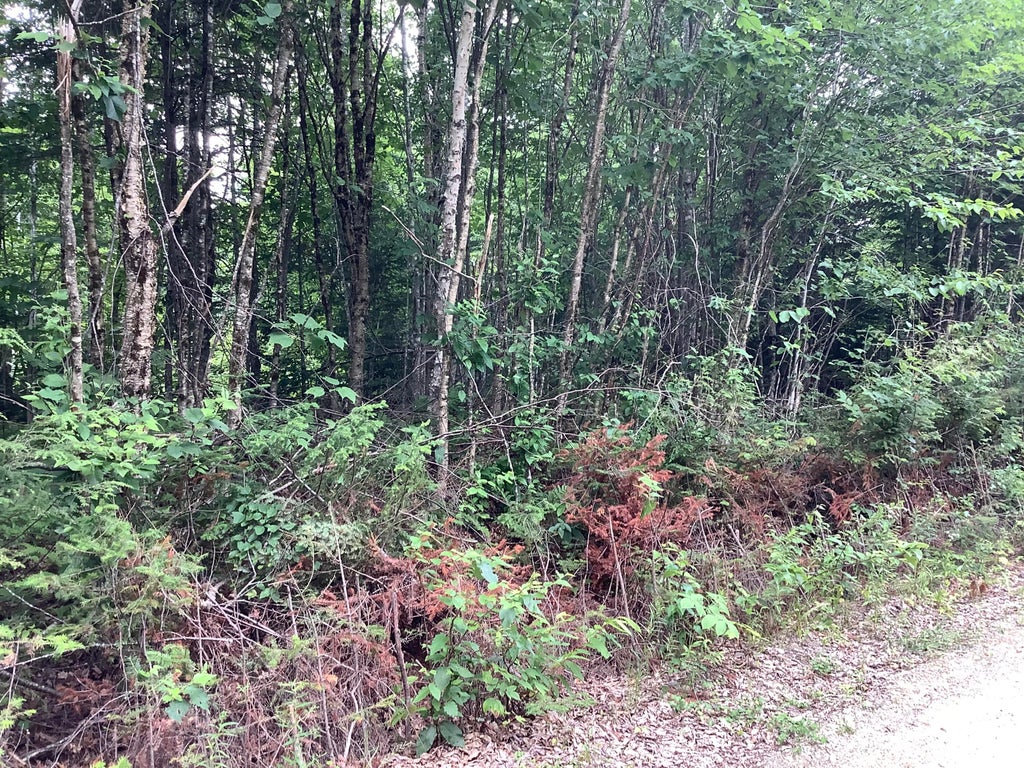 Photo of 0 Fire Road, Linneus, ME 04730 (MLS # 1678256)