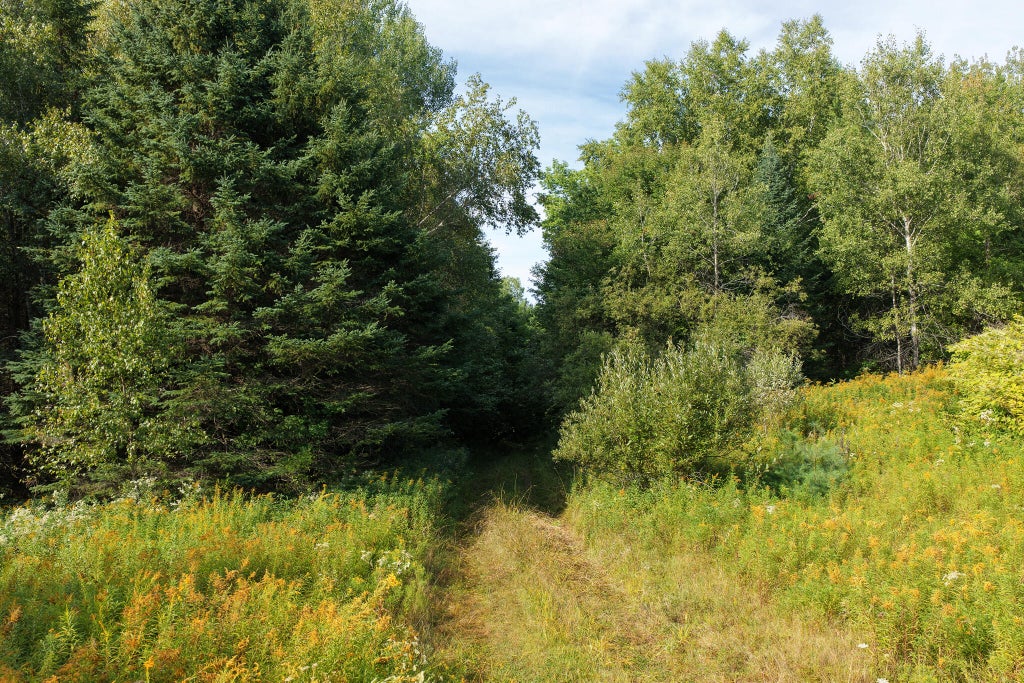 Photo of 430 Townhouse Road, Sangerville, ME 04479 (MLS # 1679969)