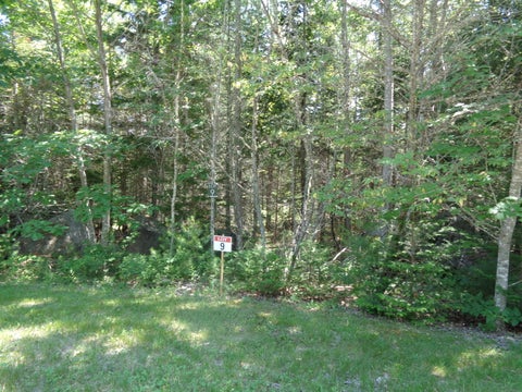 Photo of Lot 9 Bailey Mountain Road, Franklin, ME 04634 (MLS # 1661535)