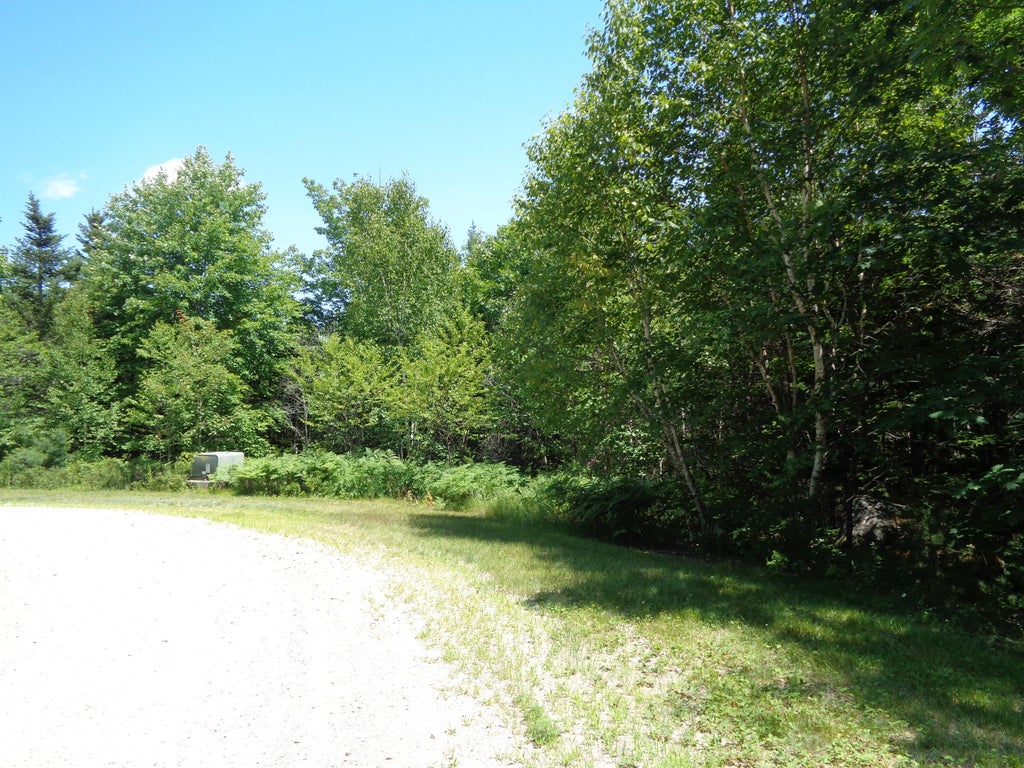 Photo of Lot 9 Bailey Mountain Road, Franklin, ME 04634 (MLS # 1661535)