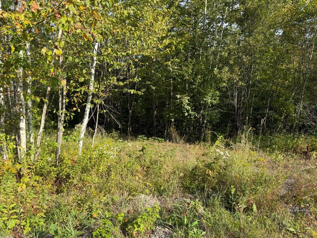 Photo of 1 and 11 Bowling Green Lane, Belfast, ME 04915 (MLS # 1653378)