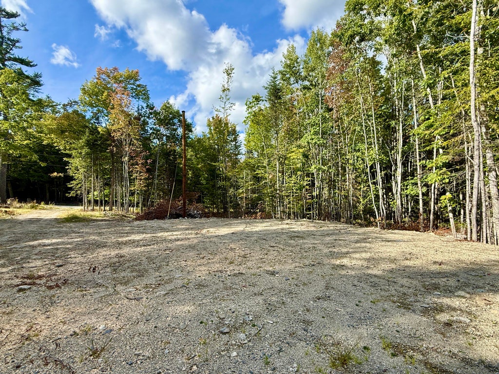 Photo of 157 Winkumpaugh Road, Orland, ME 04472 (MLS # 1681514)