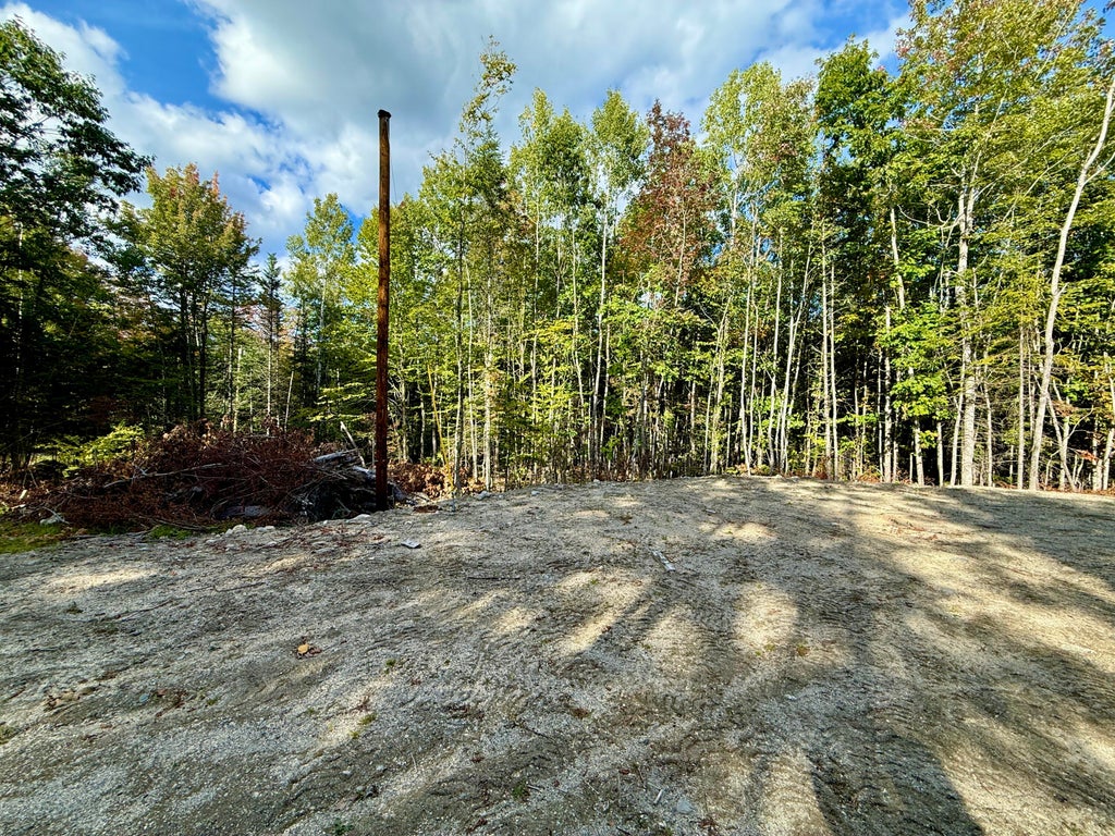 Photo of 157 Winkumpaugh Road, Orland, ME 04472 (MLS # 1681514)