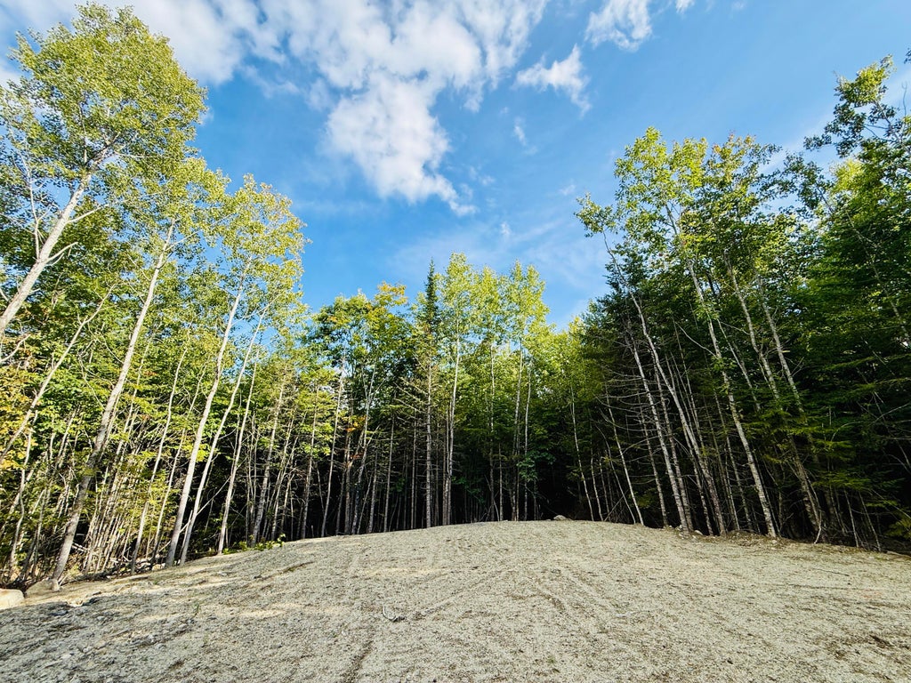 Photo of 157 Winkumpaugh Road, Orland, ME 04472 (MLS # 1681514)