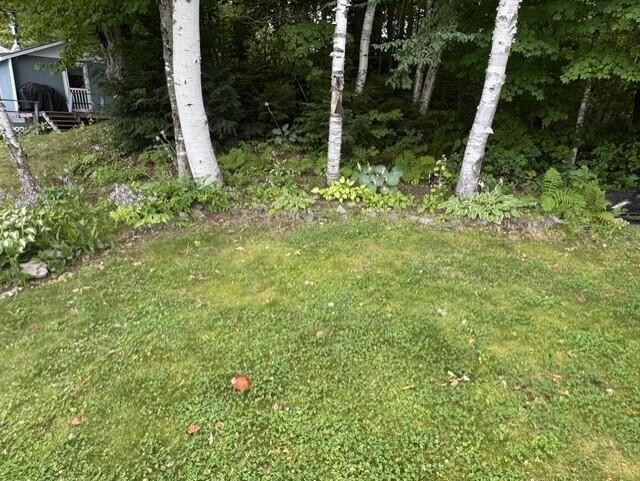 Photo of 40 Nadeau Lane, Oakfield, ME 04763 (MLS # 1676444)