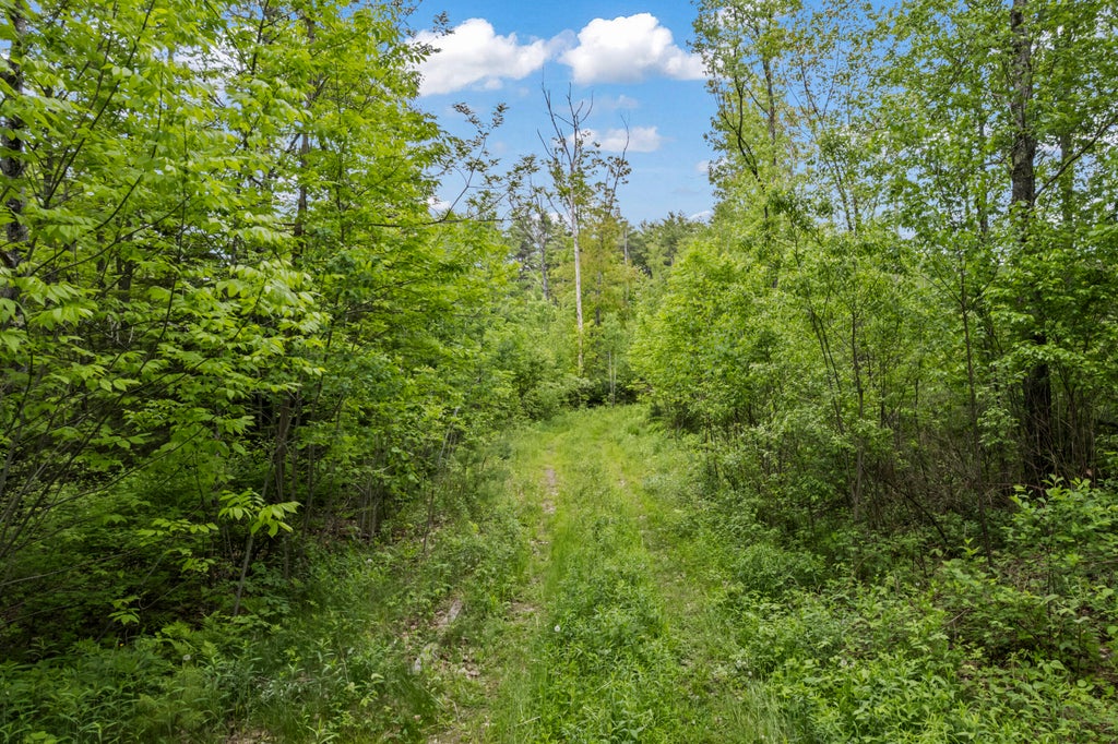 Photo of M9 Lot2/5 Middle Road, Dresden, ME 04342 (MLS # 1669824)