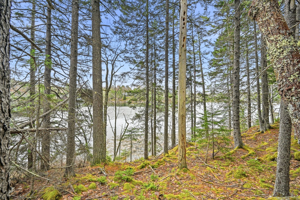 Photo of 16 Otter Lane, Westport Island, ME 04578 (MLS # 1664403)