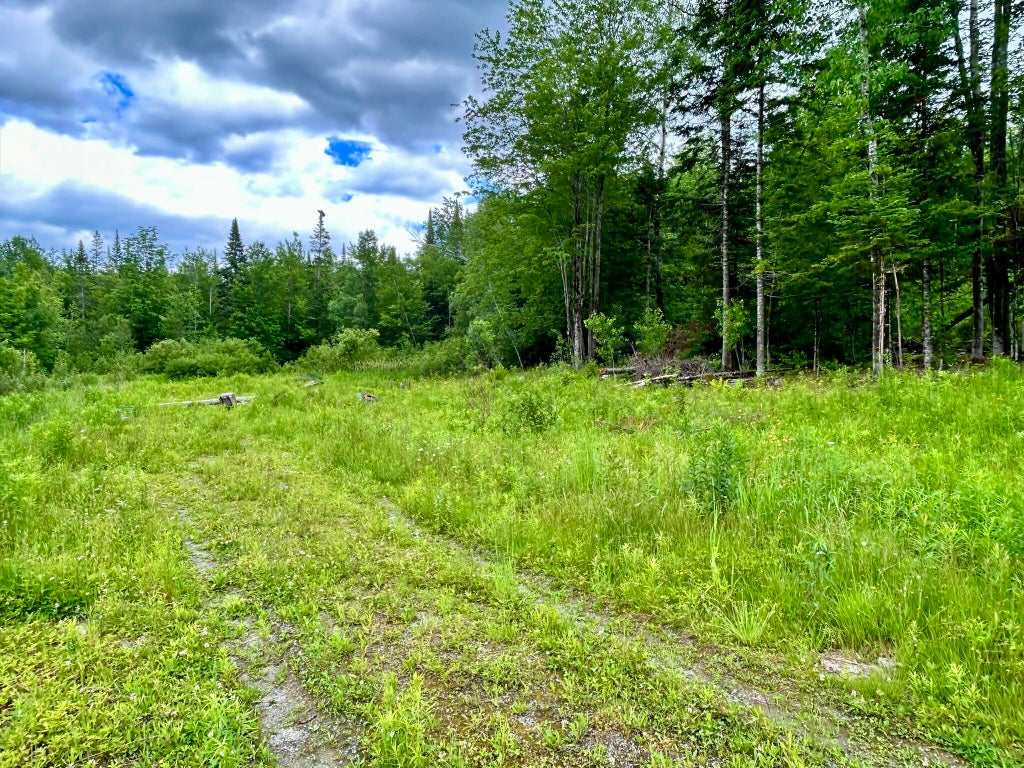 Photo of M7 L26 Canaan Road, Hartland, ME 04943 (MLS # 1668220)
