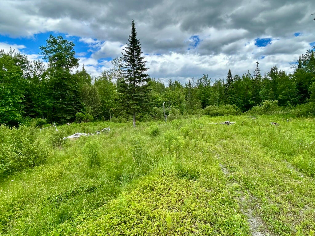 Photo of M7 L26 Canaan Road, Hartland, ME 04943 (MLS # 1668220)