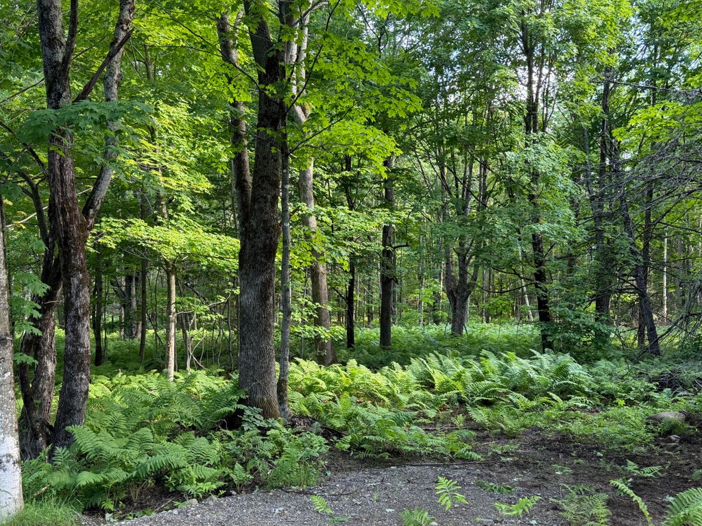 Photo of 47 Greenville Road #Lot 3, Shirley, ME 04485 (MLS # 1649621)