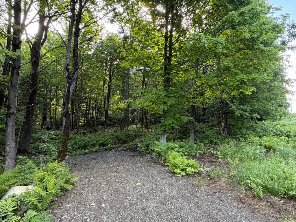 Photo of 47 Greenville Road #Lot 3, Shirley, ME 04485 (MLS # 1649621)