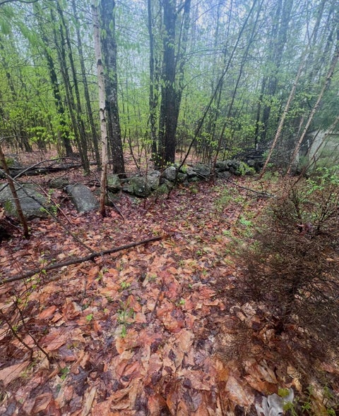 Photo of Baldwin, ME 04091 (MLS # 1672069)