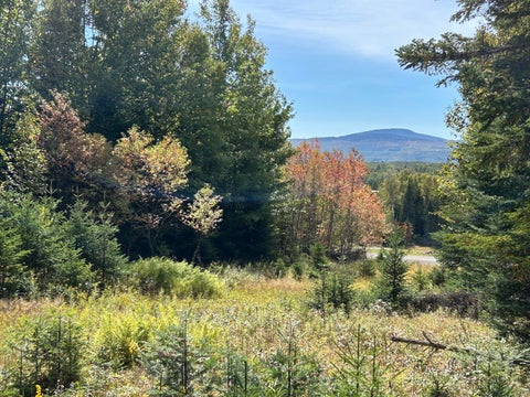 Photo of Lot 6 Johnson Lane, Rangeley, ME 04970 (MLS # 1680717)