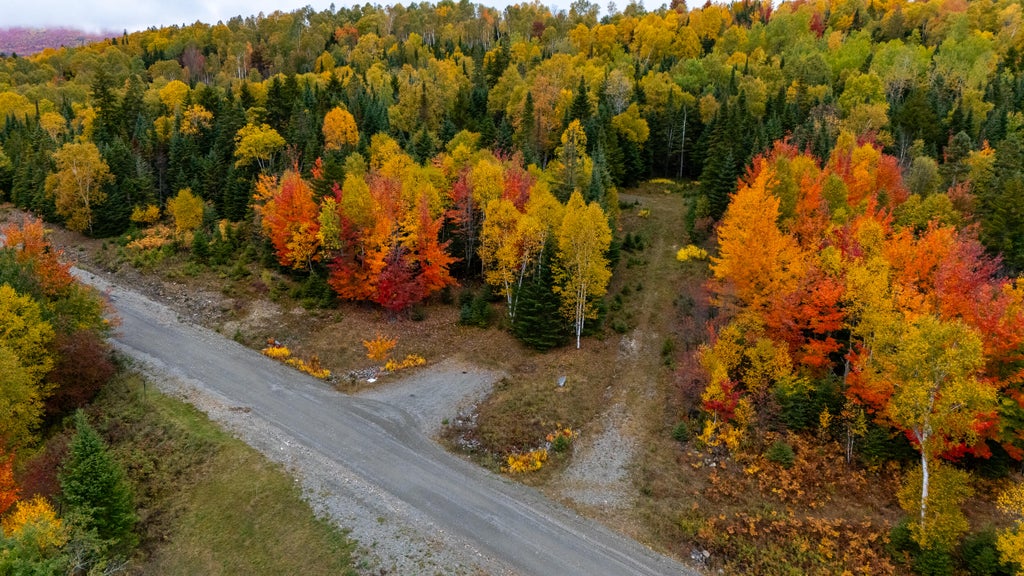 Photo of Lot 6 Johnson Lane, Rangeley, ME 04970 (MLS # 1680717)