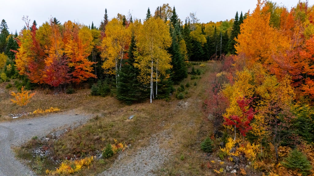 Photo of Lot 6 Johnson Lane, Rangeley, ME 04970 (MLS # 1680717)