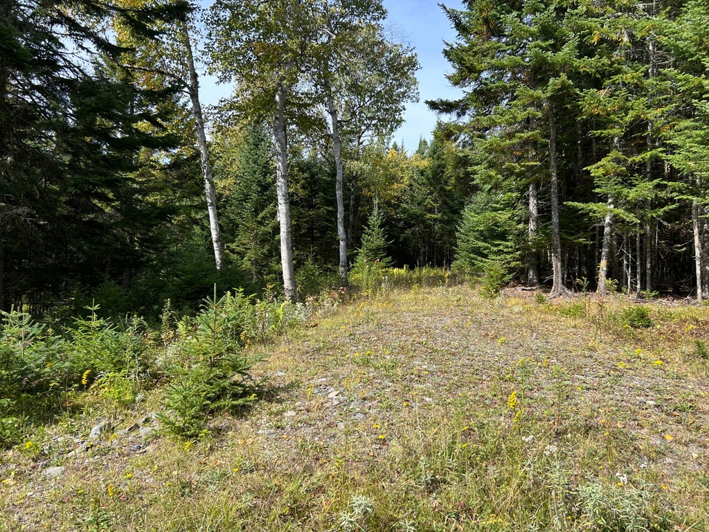 Photo of Lot 6 Johnson Lane, Rangeley, ME 04970 (MLS # 1680717)