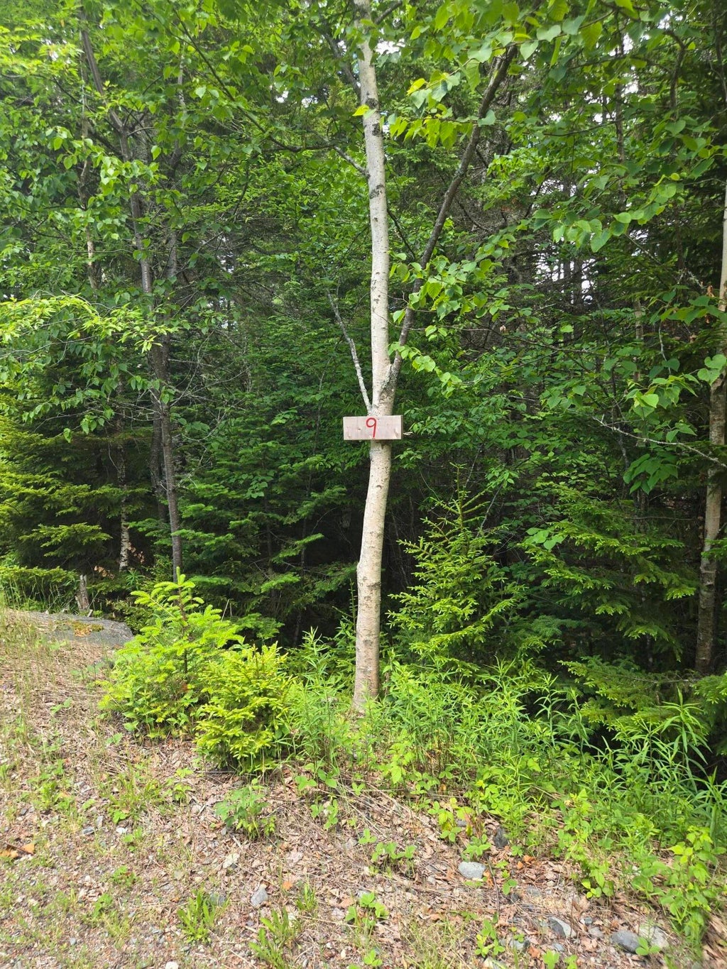 Photo of 9-10 Wohoa Bay Drive, Addison, ME 04606 (MLS # 1668771)
