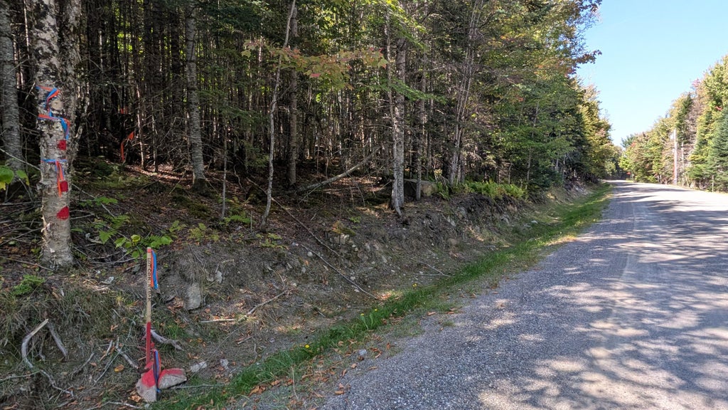 Photo of 1 Dodge Pond Road, Rangeley, ME 04970 (MLS # 1683330)