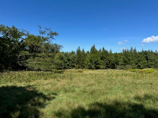 Photo of 526 Castine Road, Castine, ME 04421 (MLS # 1684994)