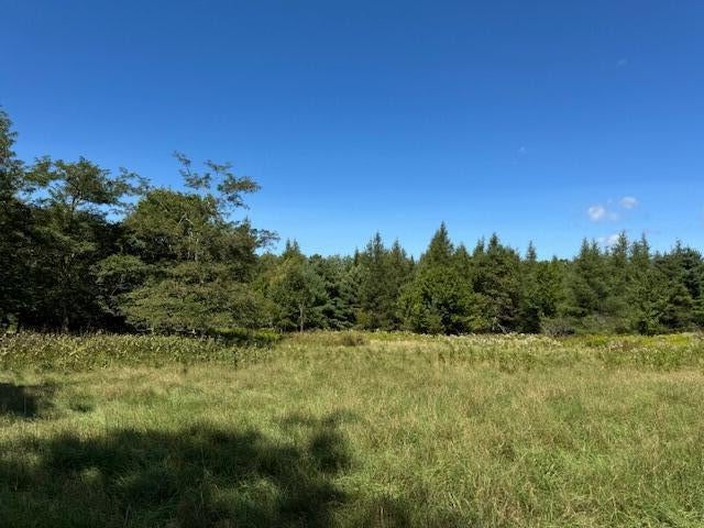 Photo of 526 Castine Road, Castine, ME 04421 (MLS # 1684994)