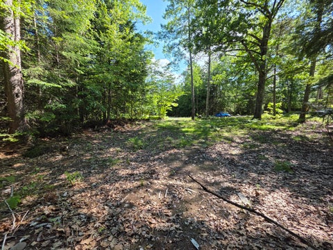 Photo of 458 Point Road, Otis, ME 04605 (MLS # 1667631)