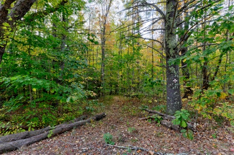 Photo of 45-28 Fairview Avenue, Gray, ME 04039 (MLS # 1683746)