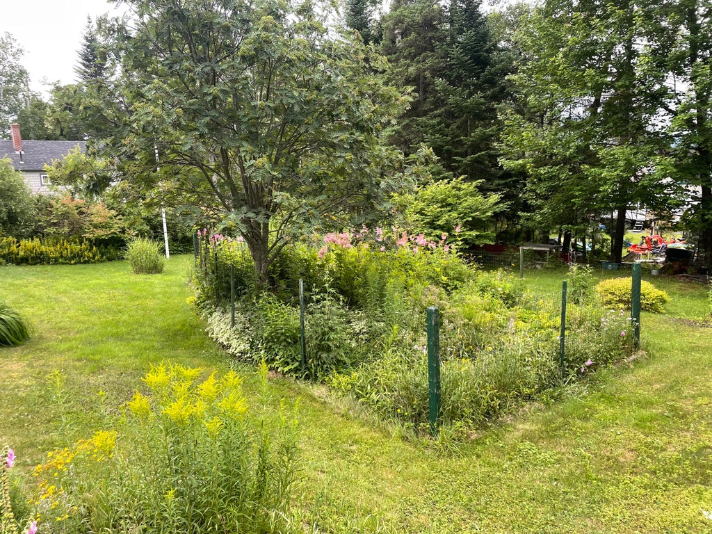 Photo of 52 Cross Street, Rangeley, ME 04970 (MLS # 1663415)