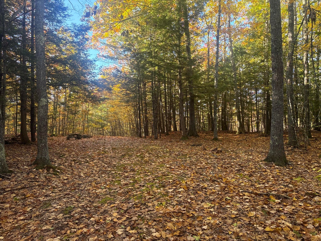 Photo of 0 Cain Line Road, West Gardiner, ME 04345 (MLS # 1684757)