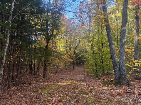 Photo of 0 Cain Line Road, West Gardiner, ME 04345 (MLS # 1684757)