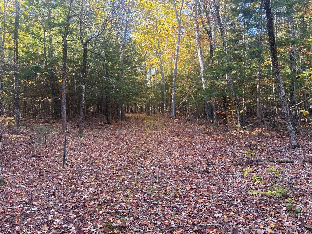 Photo of 0 Cain Line Road, West Gardiner, ME 04345 (MLS # 1684757)