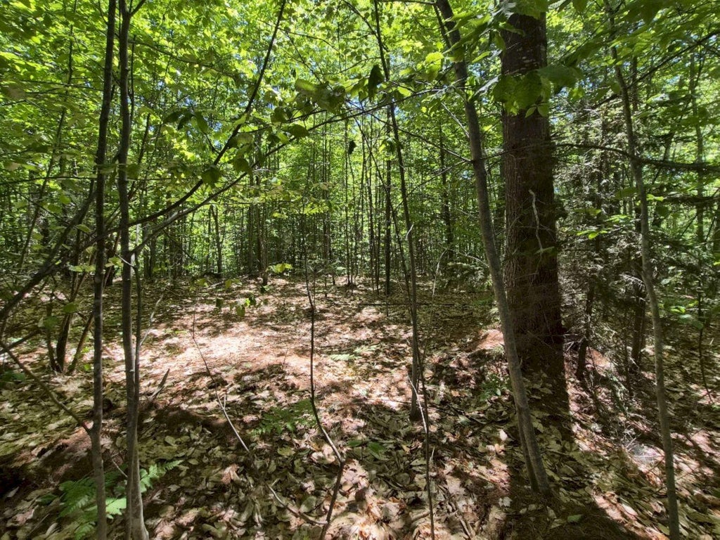Photo of MU23 L19B Holley Road, Farmington, ME 04938 (MLS # 1643522)