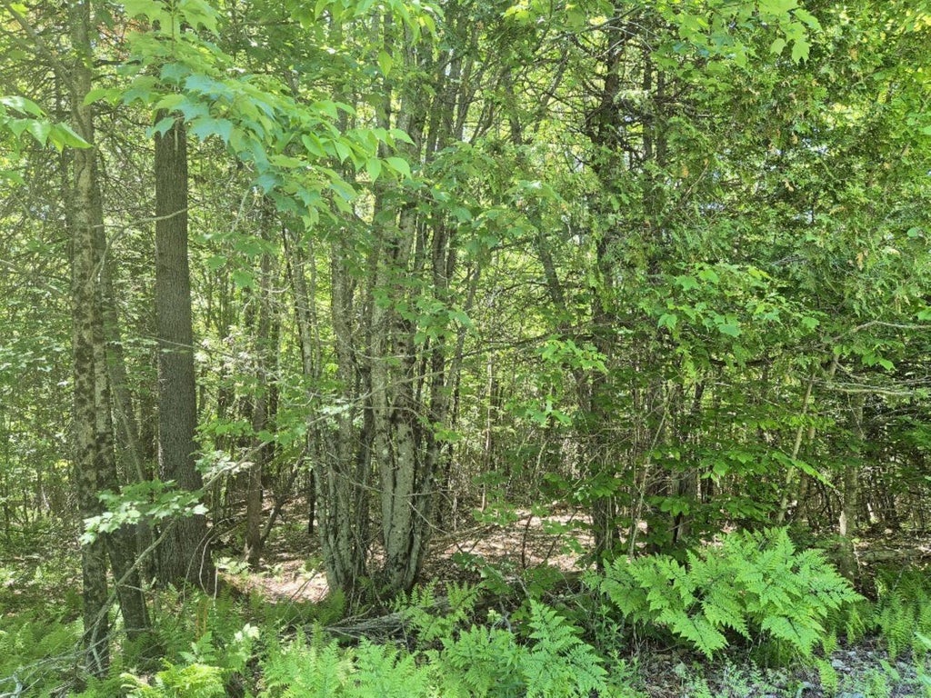 Photo of MU23 L19B Holley Road, Farmington, ME 04938 (MLS # 1643522)
