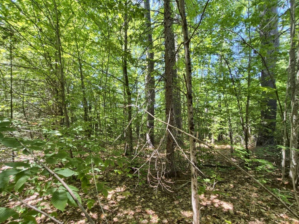 Photo of MU23 L19B Holley Road, Farmington, ME 04938 (MLS # 1643522)