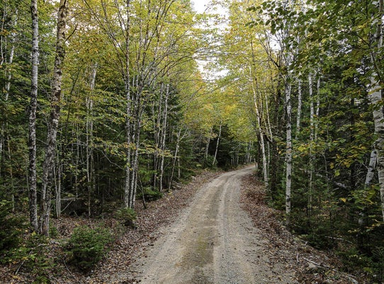 CARRY RIDGE RD, MACHIAS, ME 04654 - Image 8d083ddbfb42e3129b9554beb663fddd/1291281616