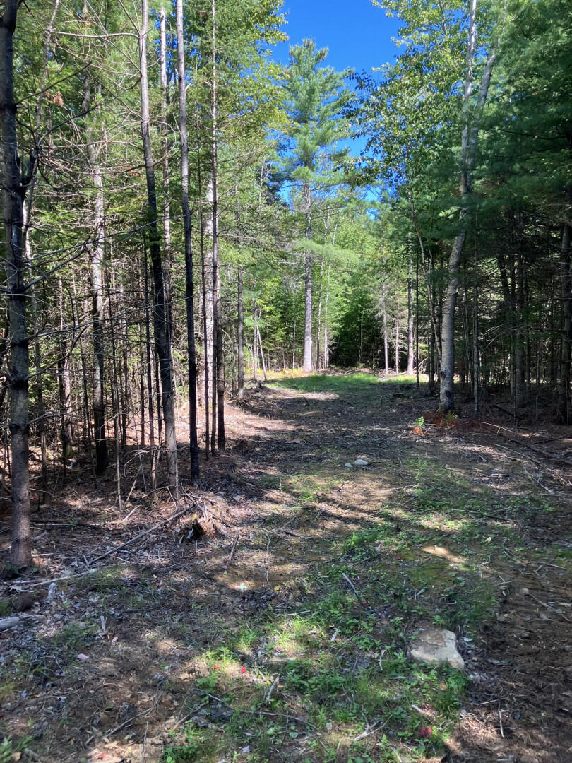 Photo of 0 Spring Brook Drive, Lincolnville, ME 04849 (MLS # 1680321)