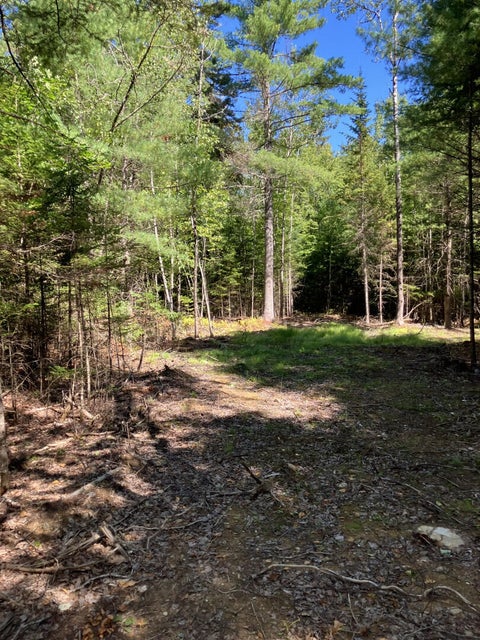 Photo of 0 Spring Brook Drive, Lincolnville, ME 04849 (MLS # 1680321)