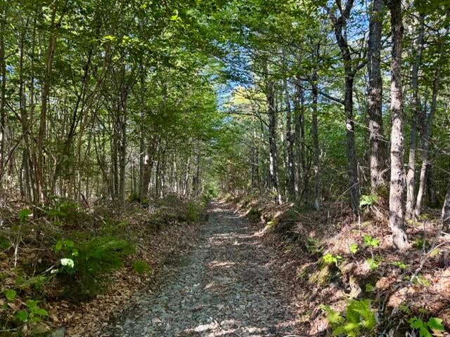 Photo of Lot 11 Baker Pond Road, Solon, ME 04979 (MLS # 1678627)
