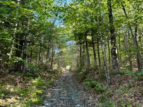 Photo of Lot 11 Baker Pond Road, Solon, ME 04979 (MLS # 1678627)