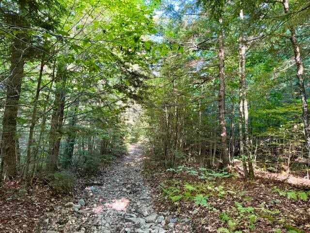 Photo of Lot 11 Baker Pond Road, Solon, ME 04979 (MLS # 1678627)