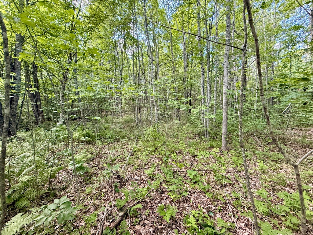 Photo of 0 W Washington Road, Washington, ME 04574 (MLS # 1674814)