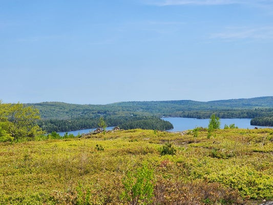 2 WHISPERING BERRIES HILL, LIBERTY, ME 04949 - Image 8db3dfe46a88fd4d3ca592c1c869e4fe/2598796192