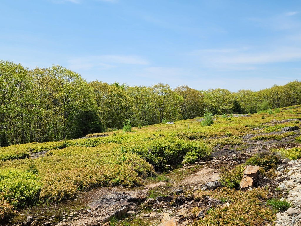 Photo of 2 Whispering Berries Hill, Liberty, ME 04949 (MLS # 1647581)