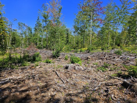 Photo of Lot 33-2 Cape Cod Hill Road, New Sharon, ME 04955 (MLS # 1680248)