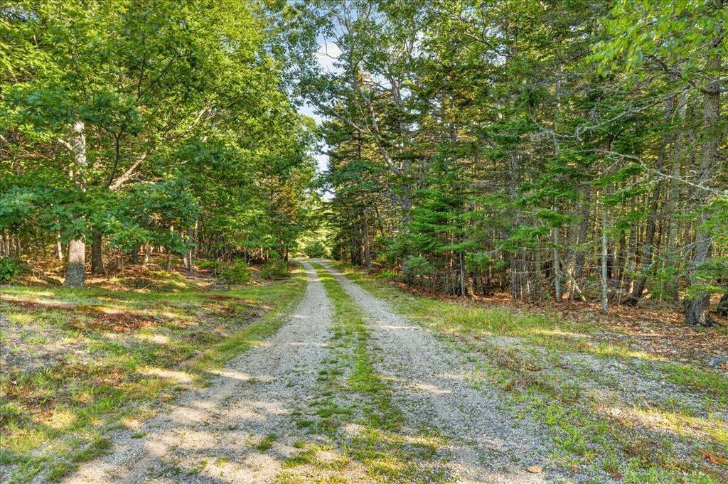 Photo of 437 Dunbar Road, Penobscot, ME 04476 (MLS # 1675031)